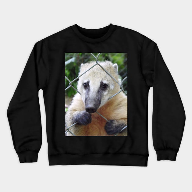 Coati Crewneck Sweatshirt by CallumHoare